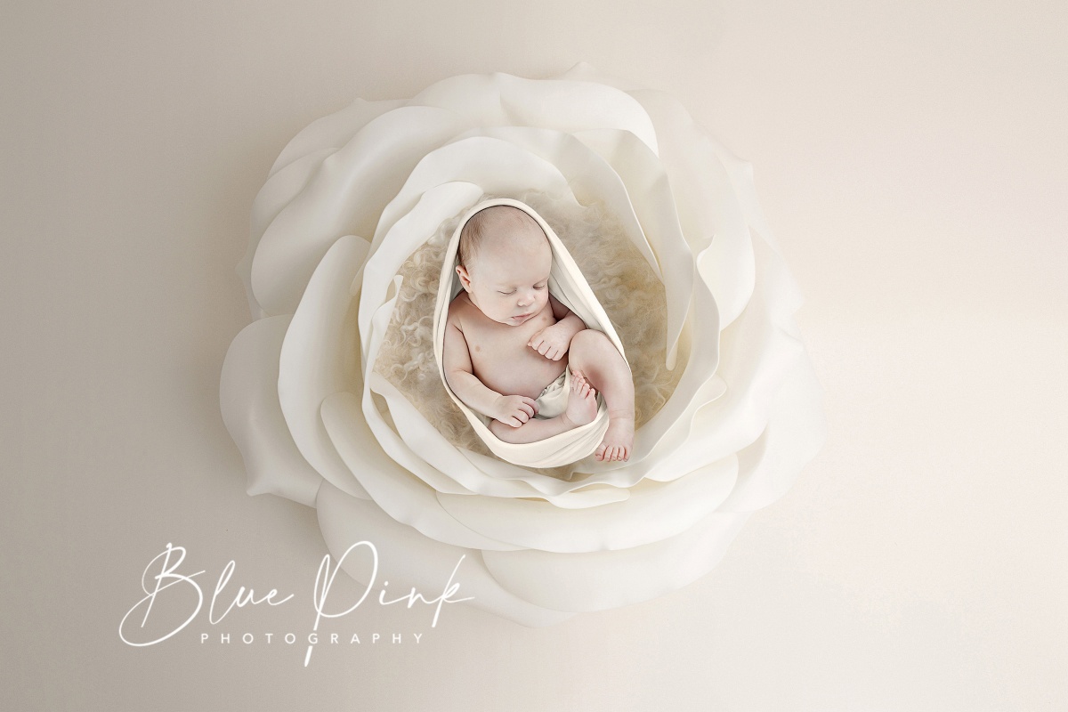 Blue Pink Photography provides Maternity and Newborn Photo Sessions in Essex 